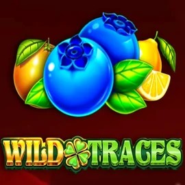 Play Wild Traces slot by Amusnet Interactive on crowsngold.com